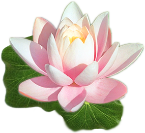 lotus-list