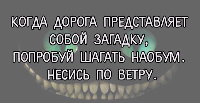 чеширский кот