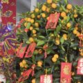проводы духа бедности