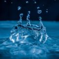 Вода и чай. Тайный союз