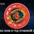 Бусины дзи 2026 в дзи-комбо